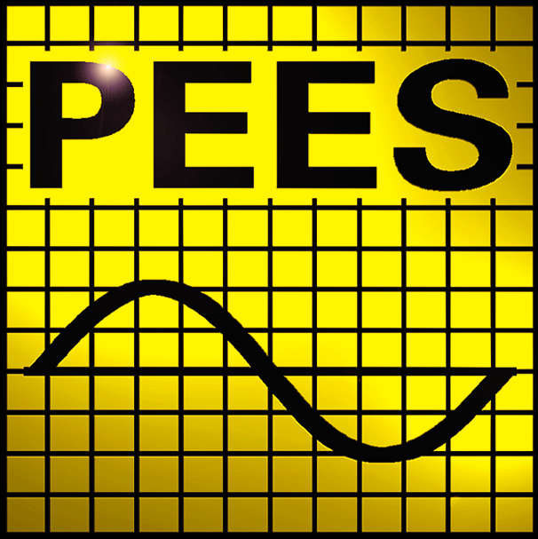 PEES Ingenieurbüro für Elektroenergie­anlagen GmbH